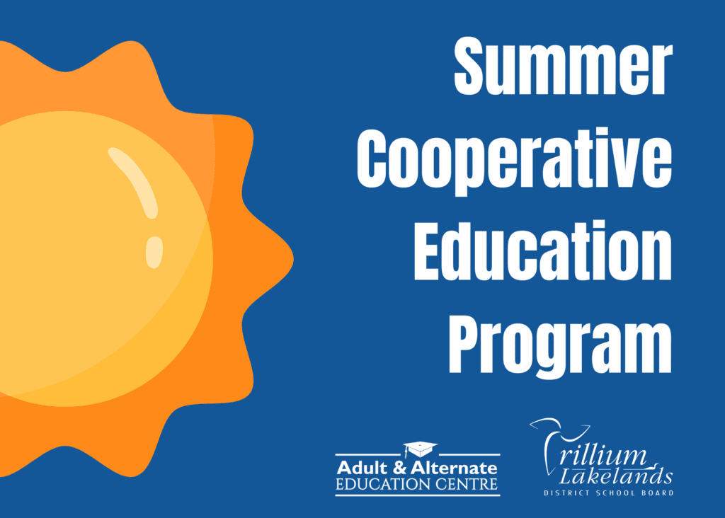 Summer learning 2025 - website