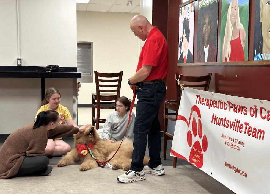 Therapy Dogs
